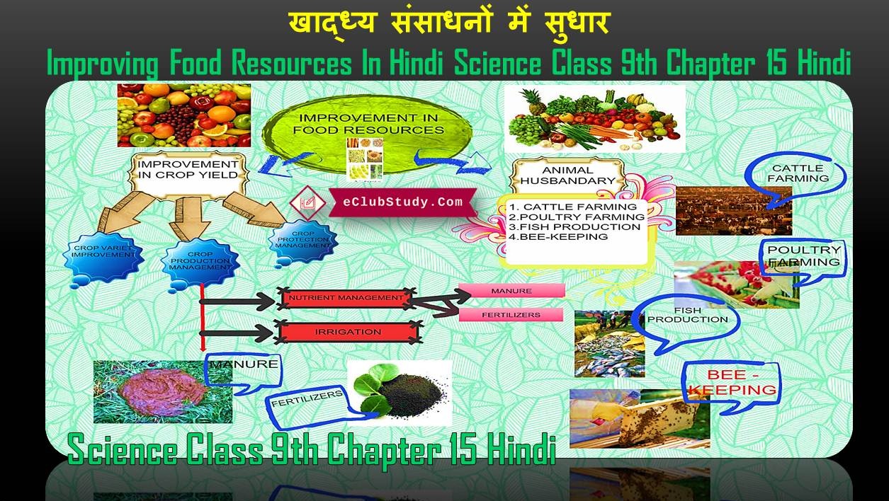 Improving Food Resources In Hindi Science Class 9th Chapter 15