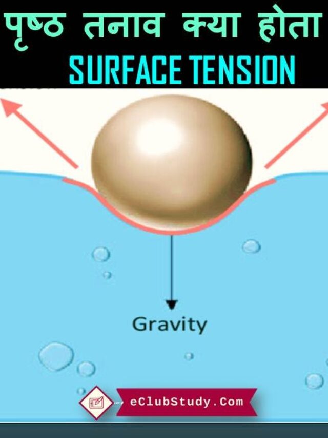 What Is Surface Tension In Hindi With Example