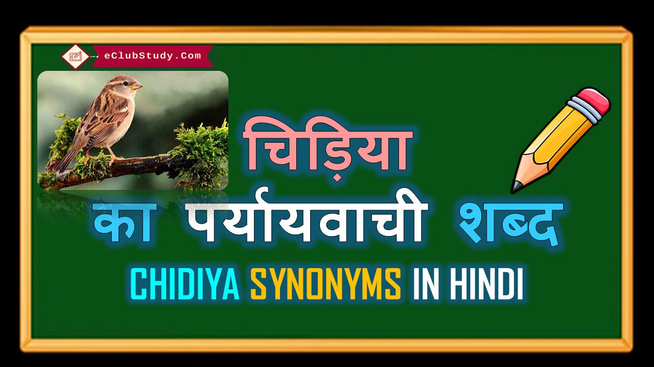 Chidiya Ka Paryayvachi Shabd